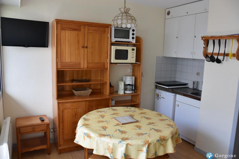 Photo n°1 de :Location studio 4 places station de Gourette